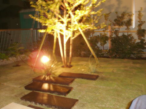 ���l�A���q�̃E�b�h�f�b�L