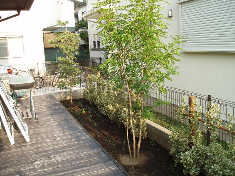 ���l�A���q�̃E�b�h�f�b�L