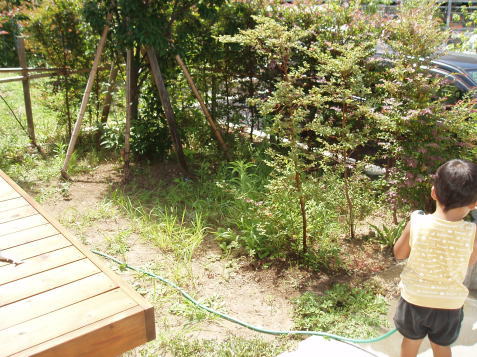 ���q�s�̉Ԓd�E�K�[�f�j���O