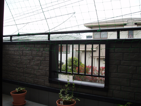 ���l�E���q�̎������|���