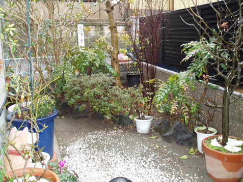 ���l�A���q�̘a���뉀