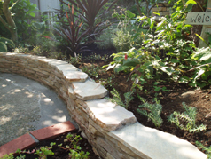 �E�b�h�f�b�L�������H���̊��q�s�M�������[Kaya