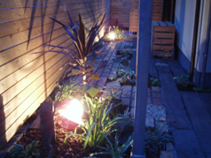 �E�b�h�f�b�L�������H���̊��q�s�M�������[Kaya